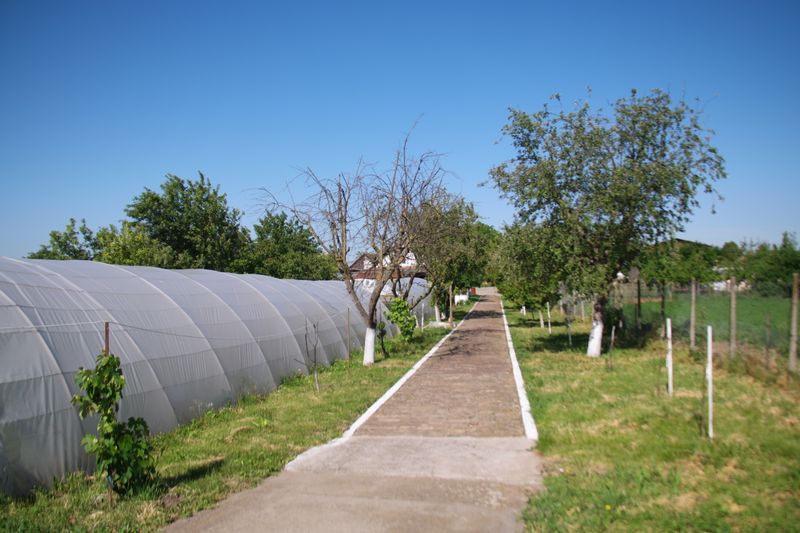 Das Gewchshaus im Casa.jpg